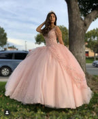 Robe de bal princesse rose Robe de quinceañera Robe de seize ans Y1095