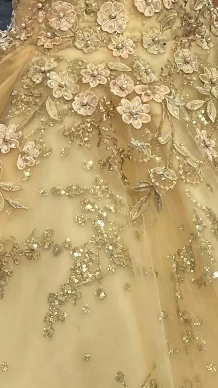 Abito principesco lussuoso color champagne con scollo a V per Quinceañera, abito da ballo color champagne Y593