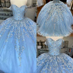 Abito da ballo blu Inverno Incantato Abito da Quinceanera in tulle blu con pizzo Y674