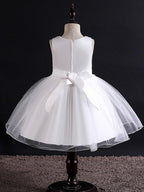 Sleeveless Jewel Neck Beaded Tulle Ball Gown Flower Girl Wedding Dress