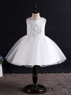 Sleeveless Jewel Neck Beaded Tulle Ball Gown Flower Girl Wedding Dress