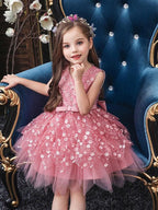 Short V Neck Sleeveless Tulle Ball Gown Applique Flower Girl Dress