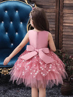 Short V Neck Sleeveless Tulle Ball Gown Applique Flower Girl Dress